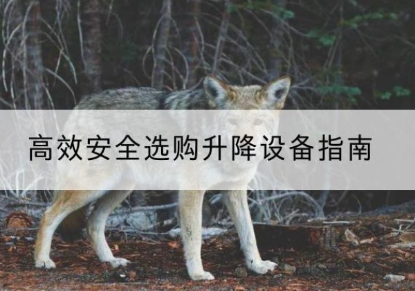 南丰升降货梯厂家推荐-*安全选购升降设备指南