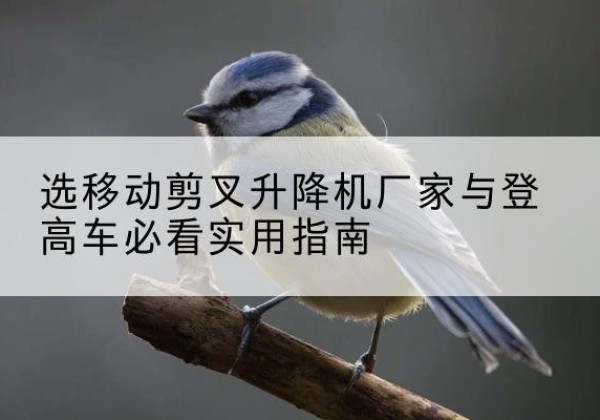 南丰电动升降机厂家-选移动剪叉升降机厂家与登高车必看实用指南