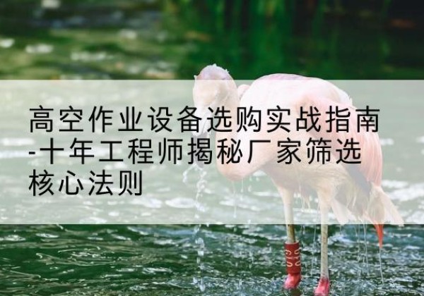 南丰剪叉式升降机厂家-高空作业设备选购实战指南-十年工程师揭秘厂家筛选核心法则